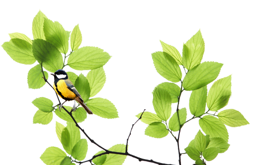 Единый семинар 1С